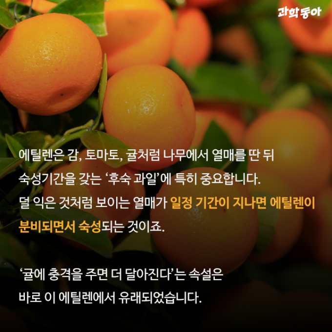 (주)동아사이언스 제공